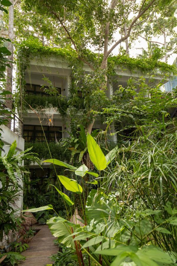 Big Tree Boutique Hotel 涛岛 外观 照片
