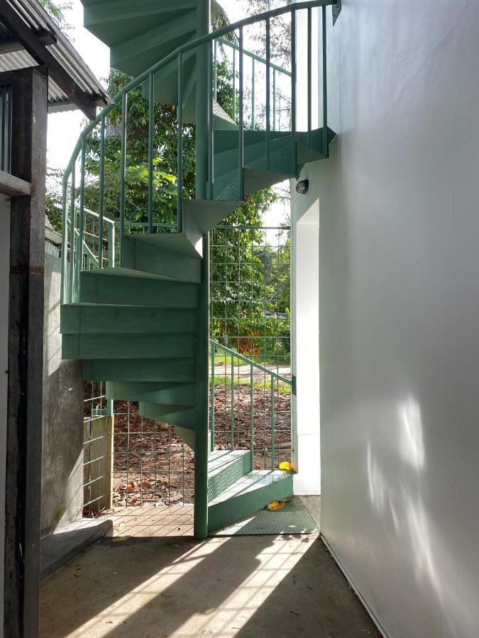 Big Tree Boutique Hotel 涛岛 外观 照片