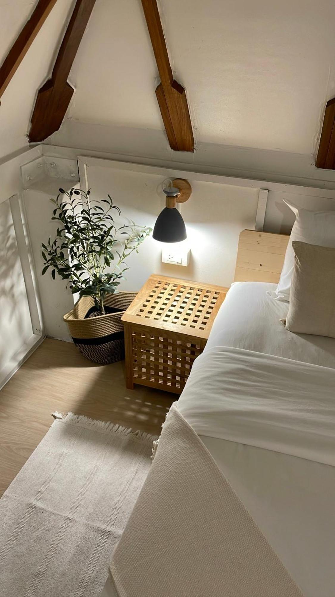 Big Tree Boutique Hotel 涛岛 外观 照片