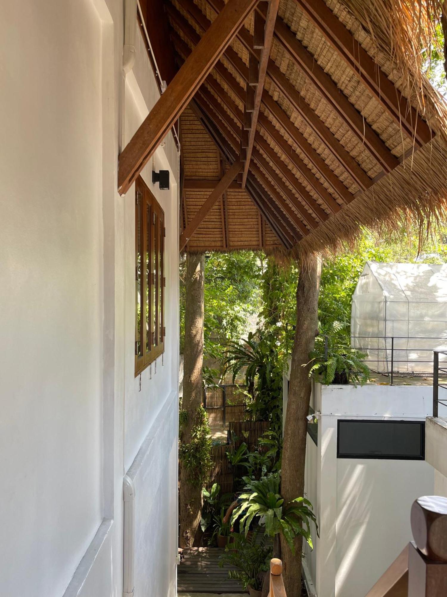 Big Tree Boutique Hotel 涛岛 外观 照片
