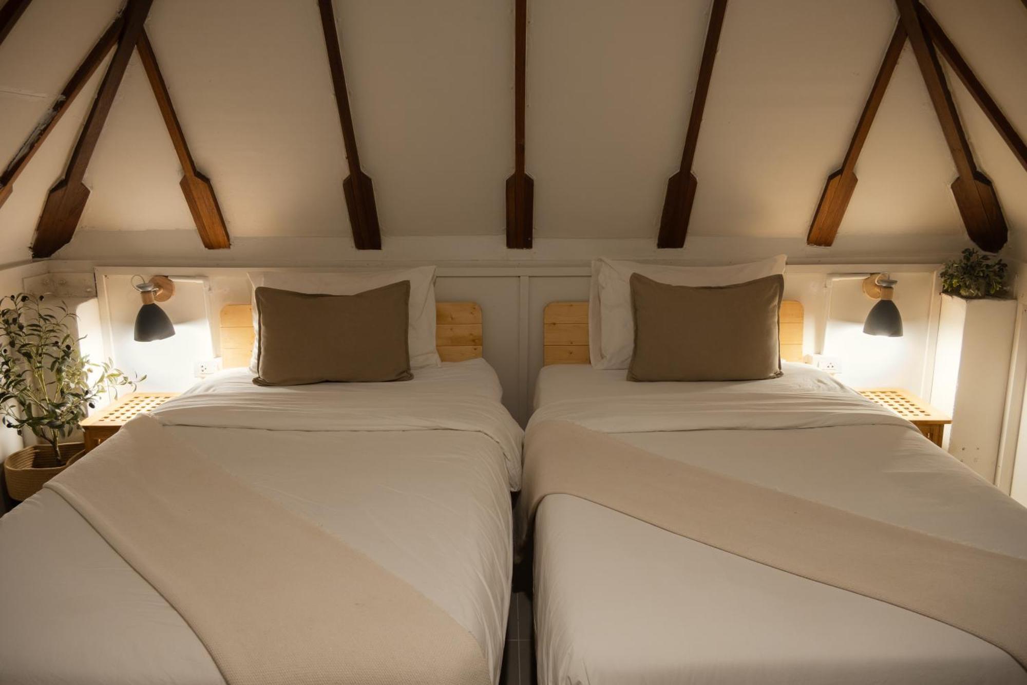 Big Tree Boutique Hotel 涛岛 客房 照片