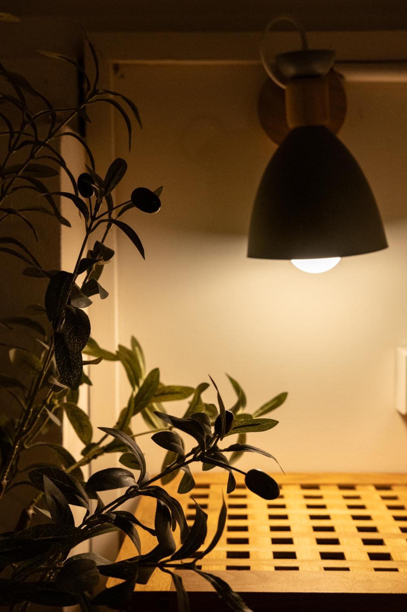 Big Tree Boutique Hotel 涛岛 外观 照片