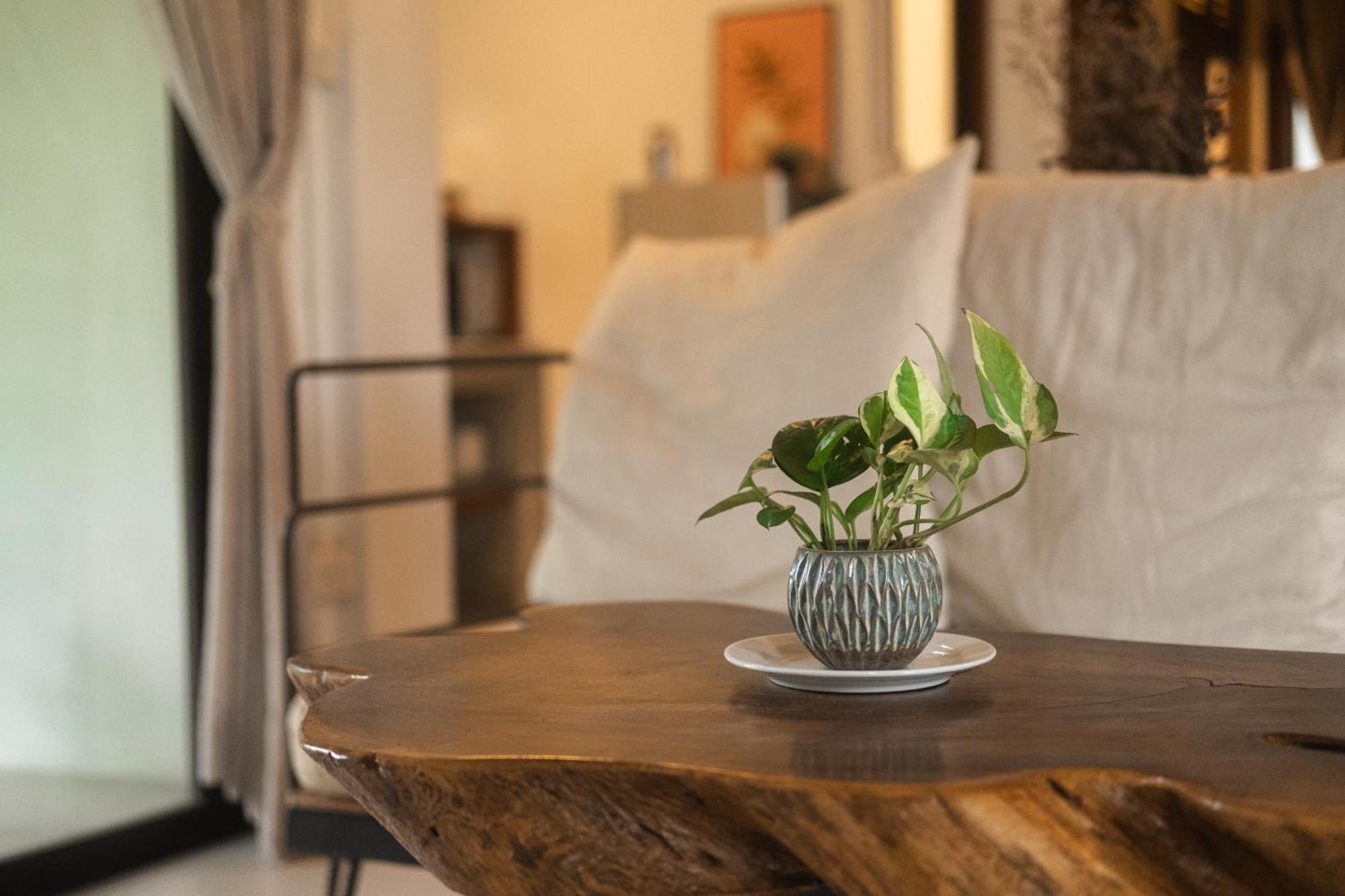 Big Tree Boutique Hotel 涛岛 外观 照片