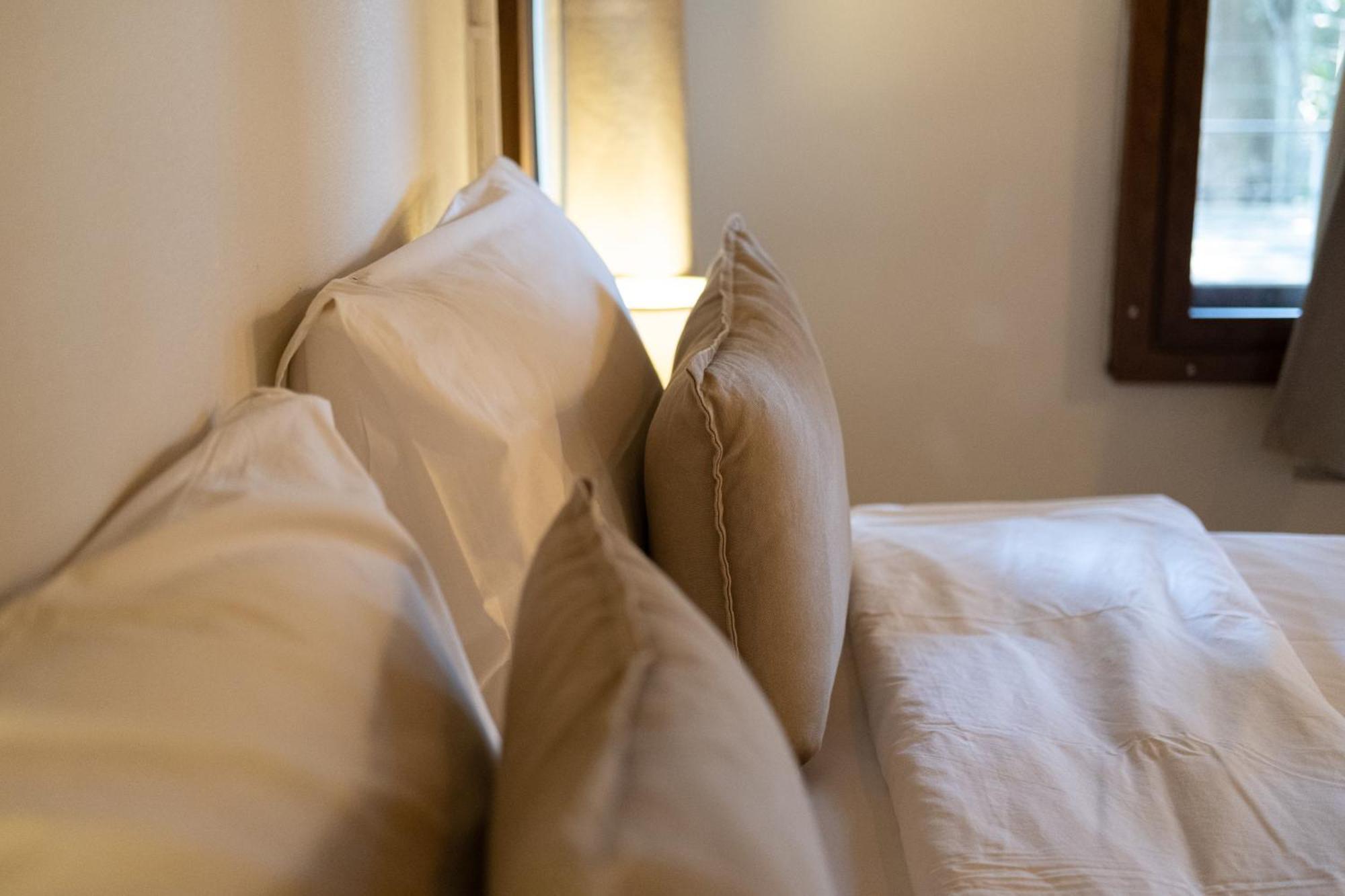 Big Tree Boutique Hotel 涛岛 外观 照片