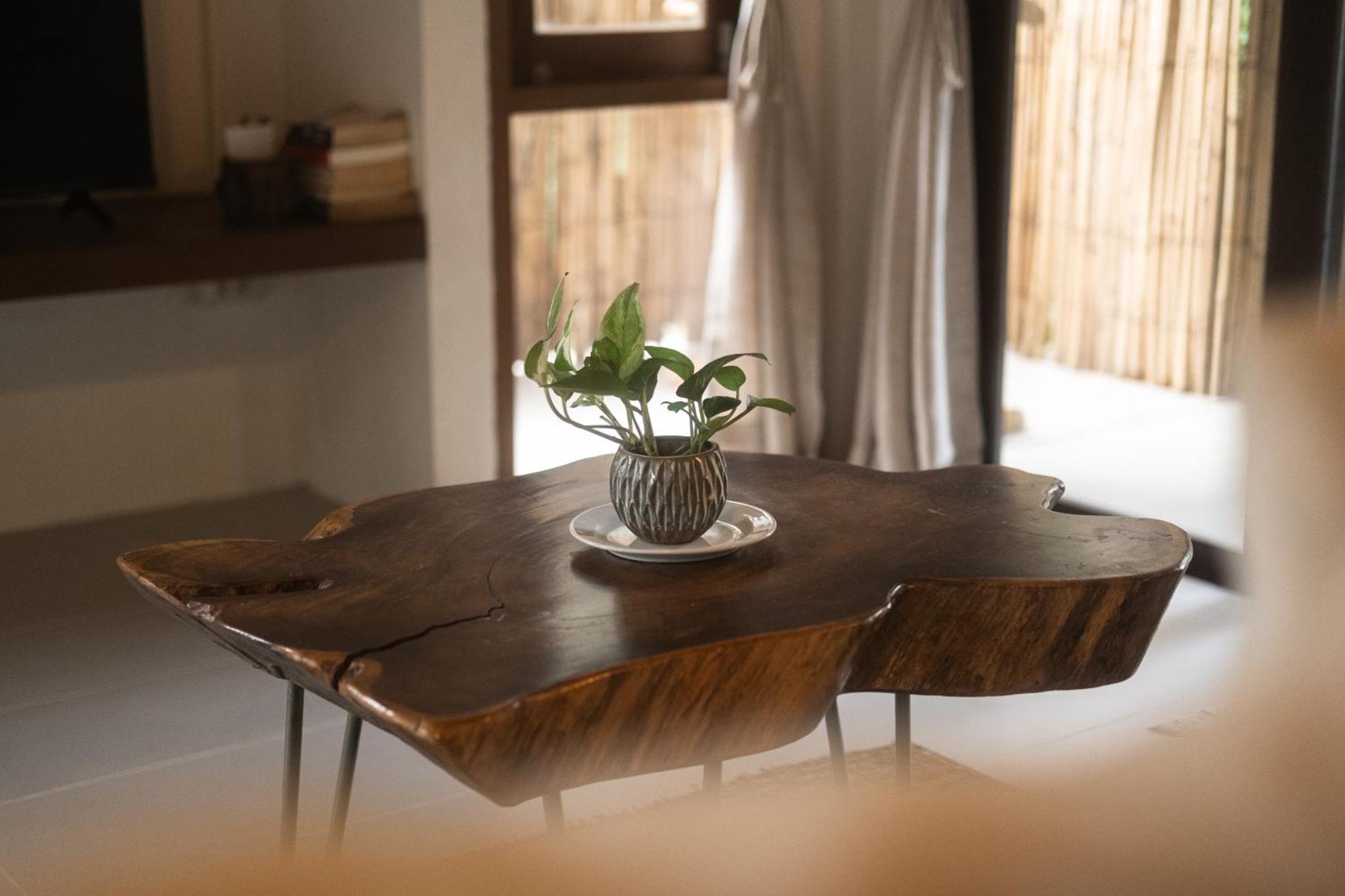 Big Tree Boutique Hotel 涛岛 外观 照片