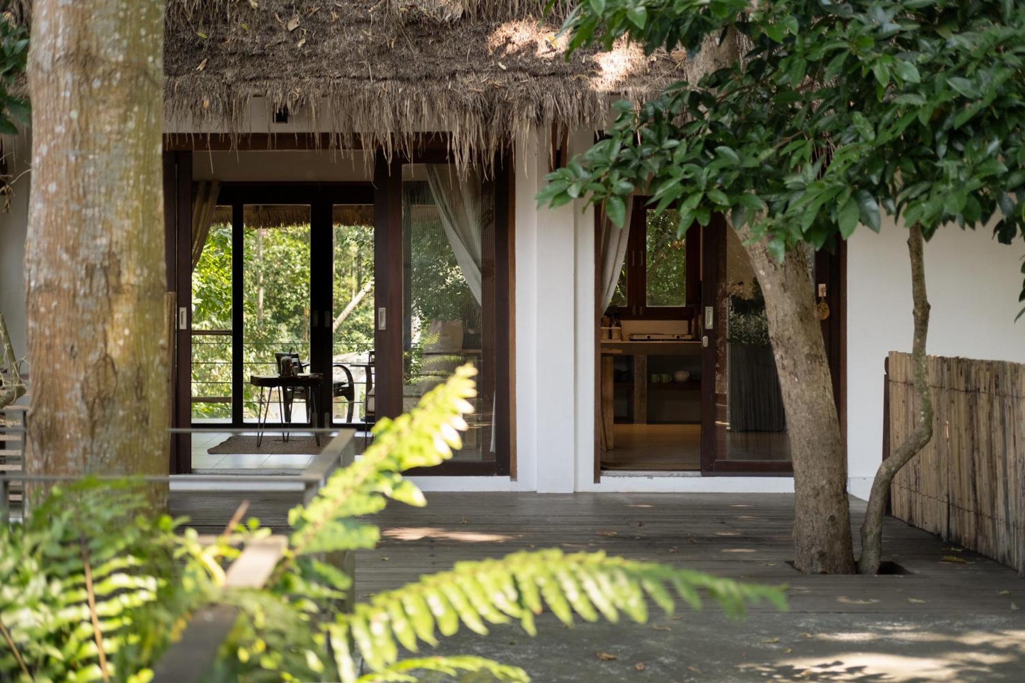 Big Tree Boutique Hotel 涛岛 外观 照片