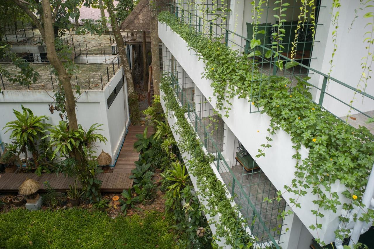 Big Tree Boutique Hotel 涛岛 外观 照片